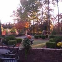 Kim Britt Photo 41