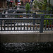 Marc Hodges Photo 8