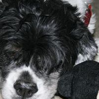 Theresa Ferrante Photo 15