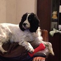 Sharon Proctor Photo 19