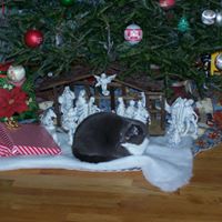 Mary Chabot Photo 7