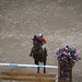 Jill Humphreys Photo 10