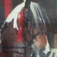 Janet Howell Photo 19