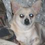Jane Simpson Photo 28