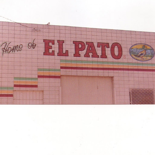 Patricia Walters Photo 17