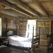 Jane Dewees Photo 6