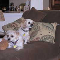 Mary Groff Photo 20