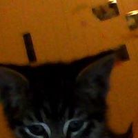 Lee Ruby Photo 20 Lee Ruby Photo 20