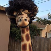 Amber Herrmann Photo 11