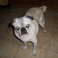 Kyle Wheeler Photo 15