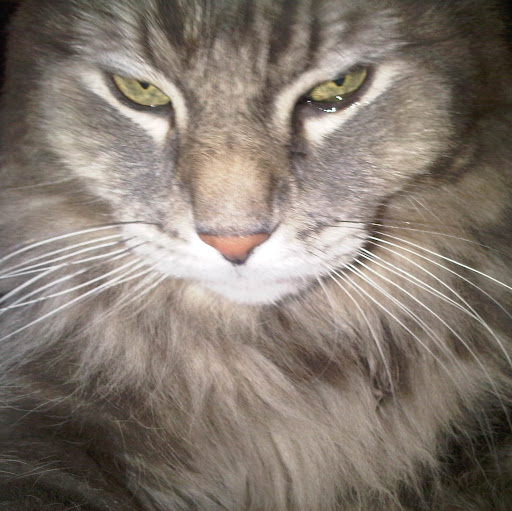 Christine Sparks Photo 32