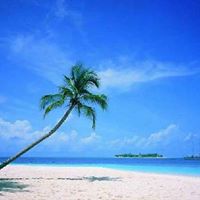 Nicole Crow Photo 26