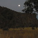 Kimberly Moon Photo 28