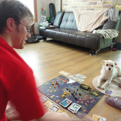 Michael Harrington Photo 47