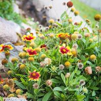 Cathy Adams Photo 39 Cathy Adams Photo 39