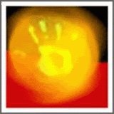 Anita Donaldson Photo 15