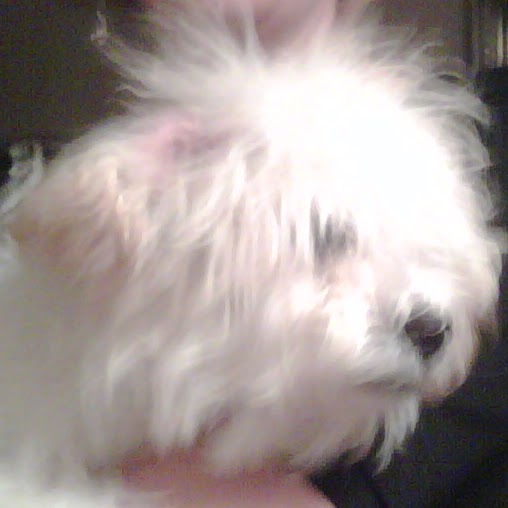 Joseph Isaac Photo 49