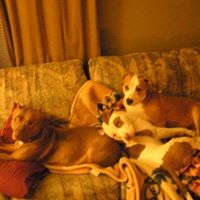 Susie Ryan Photo 39