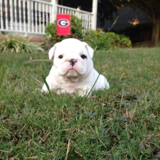 Crystal Hedrick Photo 3