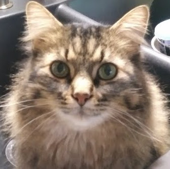 Robyn Sutherland Photo 20