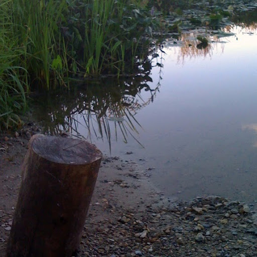 Brenda Stevens Photo 16