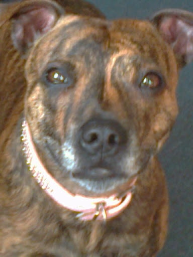 Kevin Crockett Photo 32