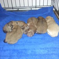 Susan Irwin Photo 11