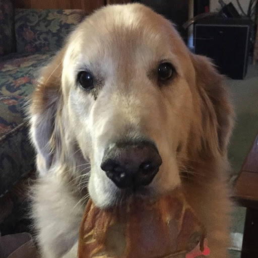 Jonathan Macdonald Photo 26