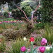 Deborah Walsh Photo 21