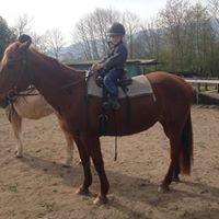 Tammy Swanson Photo 13