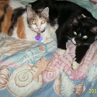 Debra Robertson Photo 42