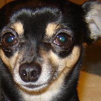 Janice Wiley Photo 13