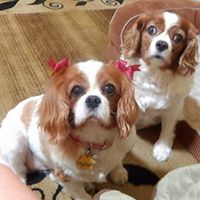 Martha Weber Photo 9