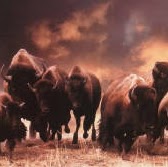 Donald Sanderson Photo 36