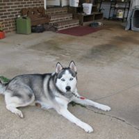 Kenneth Fuller Photo 29