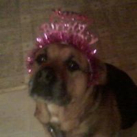 Jill Waters Photo 31