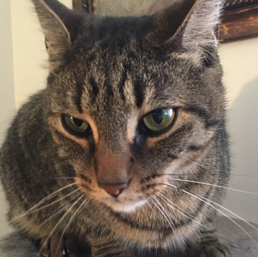 Julia Woodburn Photo 8