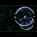 Anthony Blow Photo 21