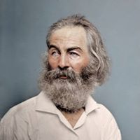 Stephen Maclean Photo 17