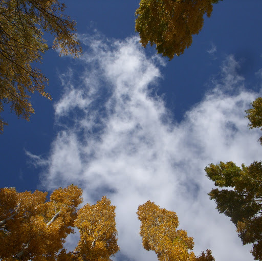 Eric Pedersen Photo 27