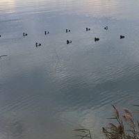 Dennis Bills Photo 13