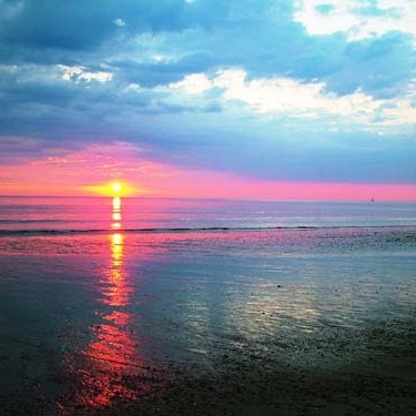 Vicki Connolly Photo 4