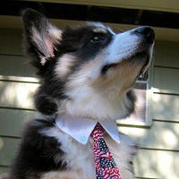 Cathy Chang Photo 26