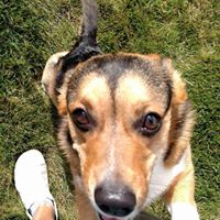 Tracy Richard Photo 11