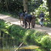 Charles Mule Photo 12