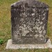 Elizabeth Mcwhorter Photo 11