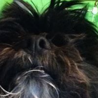 Billy Hamilton Photo 26