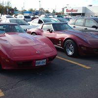 Curtis Wolf Photo 27