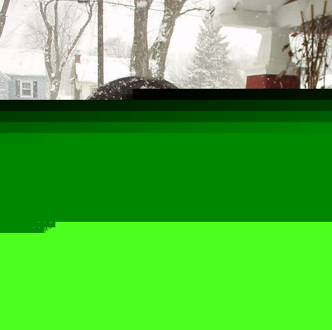 Jennifer Stevenson Photo 12