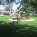 Susan Hite Photo 8